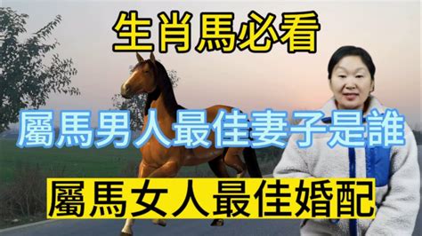 兔男馬女|屬馬的男人與屬兔的女人